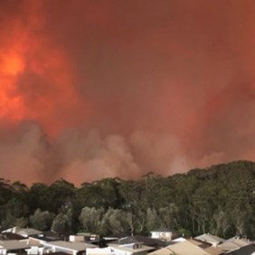 Australian Fires: Disaster Response
